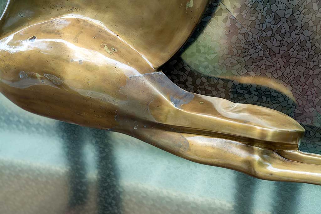 Before — detail of paint loss around neck and beak area