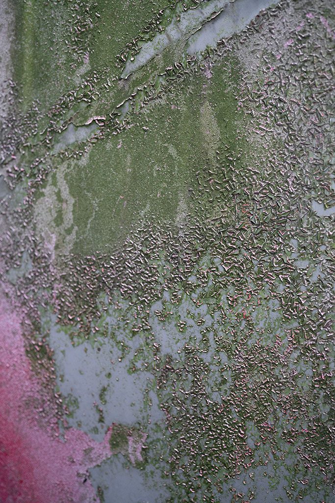 Before — extreme close-up of bubbling, flaking paint and mould