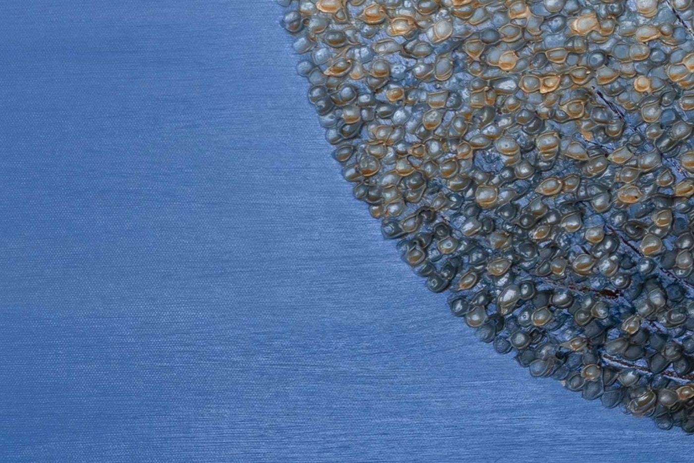 After restoration — close-up showing clean canvas surface